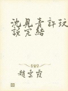 沈见青许玟玟小说完结