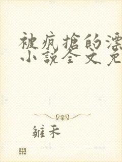 被疯抢的漂亮攻小说全文免费阅读无弹窗