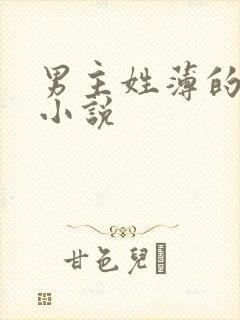 男主姓薄的总裁小说