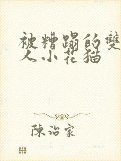 被糟蹋的双性美人小花猫