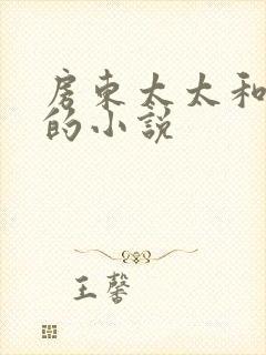 房东太太和阿宾的小说