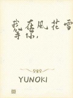 我在风花雪月里等你,