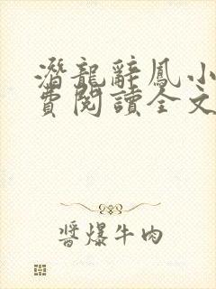 潜龙辞凤小说免费阅读全文最新章节