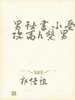 男秘书小受引诱攻高h双男封面
