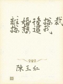 离婚后总裁前夫总想追我