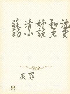 苏清妤和沈三爷的小说免费阅读