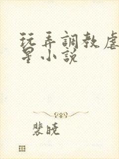 玩弄调教虐女明星小说封面