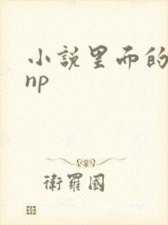 小说里面的高hnp