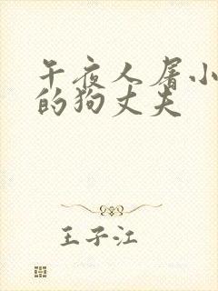 午夜人屠小说我的狗丈夫封面