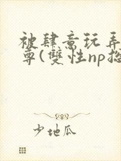 被肆意玩弄的仙尊(双性np总受)