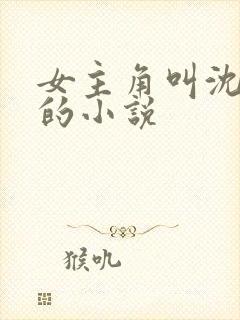 女主角叫沈清澜的小说