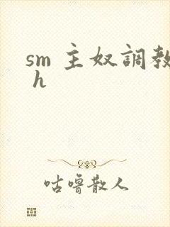 sm 主奴调教 h