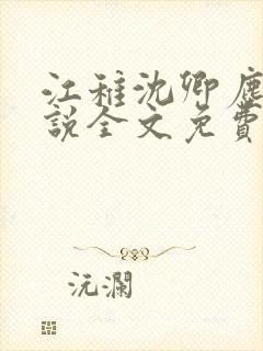 江稚沈卿尘的小说全文免费阅读最新封面