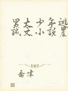 男大少年逃跑训诫文小说农村