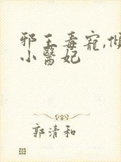 邪王毒宠,倾城小医妃