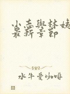 小志与林姨小说最新章节