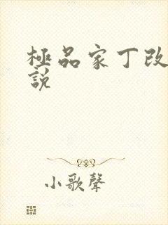 极品家丁改编小说