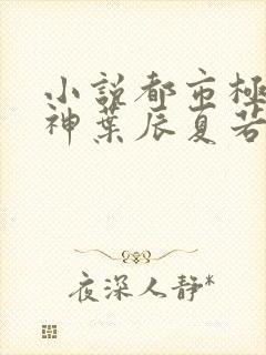 小说都市极品医神叶辰夏若雪无弹窗