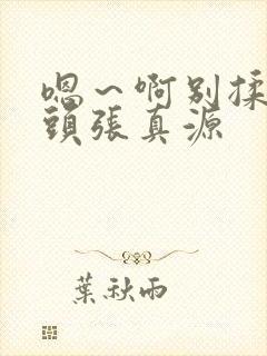 嗯～啊别揉我奶头张真源