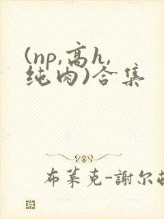 (np,高h,纯肉)合集