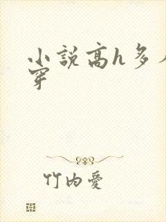 小说高h多人快穿