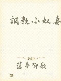 调教小奴妻