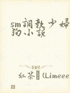 sm调教少妇母狗小说