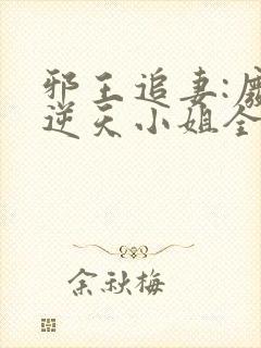 邪王追妻:废材逆天小姐全文免费阅读封面