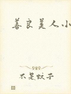 善良美人小说封面