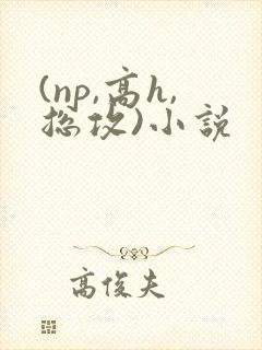 (np,高h,总攻)小说封面