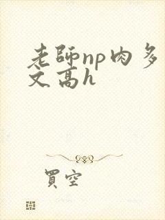老师np肉多荤文高h封面