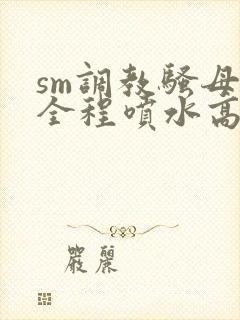 sm调教骚母狗全程喷水高潮