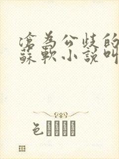 沧为公歧的校花苏软小说叫什么名字封面