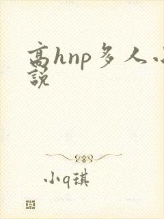 高hnp多人小说