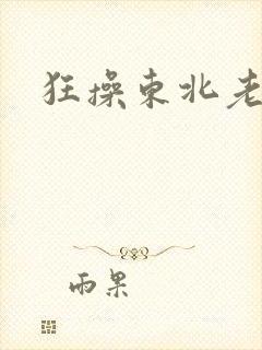 狂操东北老女人封面