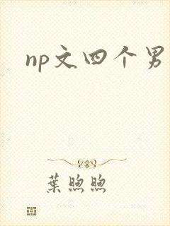 np文四个男主