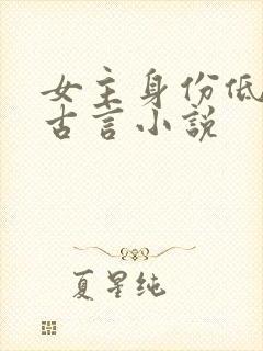 女主身份低微的古言小说封面