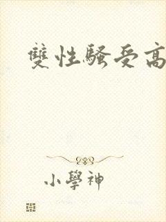 双性骚受高h文封面