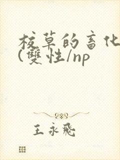 校草的畜化调教(双性/np