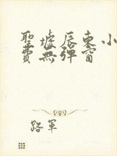 圣墟辰东小说免费无弹窗封面