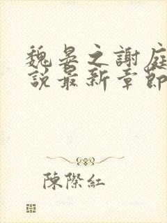 魏晏之谢庭书小说最新章节免费阅读