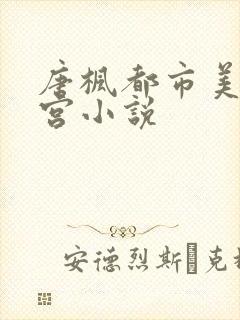 唐枫都市美艳后宫小说封面