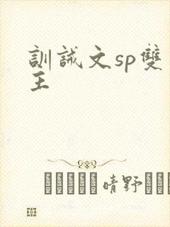 训诫文sp双男主