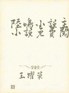 陆鸣小说主角的小说免费阅读全文封面