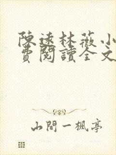 陈远林薇小说免费阅读全文最新章节封面