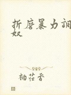 折磨暴力调教男奴