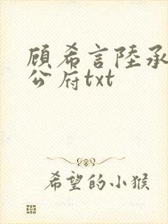 顾希言陆承濂国公府txt封面