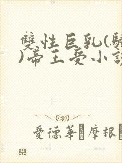 双性巨乳(骚受)帝王受小说