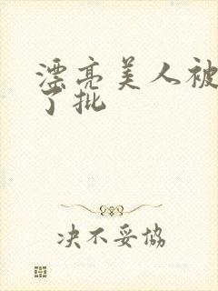 漂亮美人被玩坏了批封面