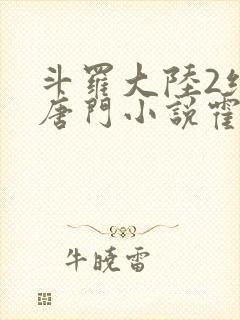 斗罗大陆2绝世唐门小说霍雨浩